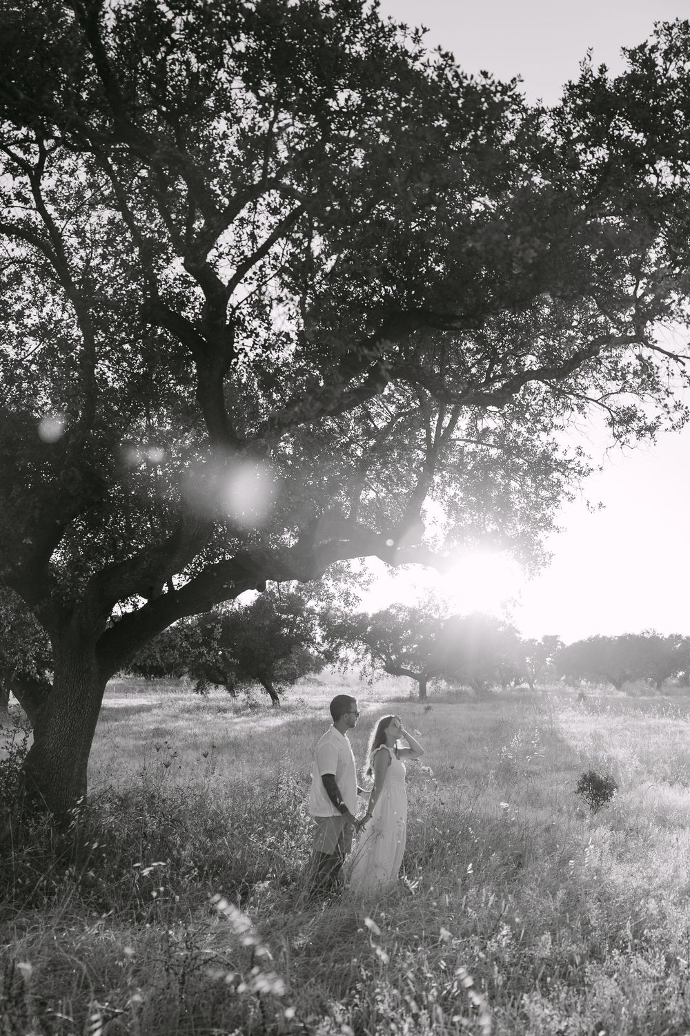 Black and white photo of a couple holding hands under a large oak tree in a sunlit field.
