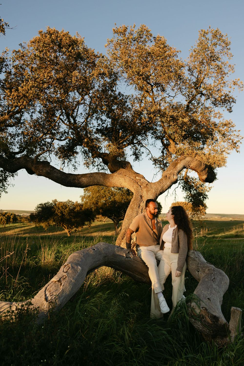 Couple sitting together on a large twisted tree trunk in a golden sunlit field at sunset.