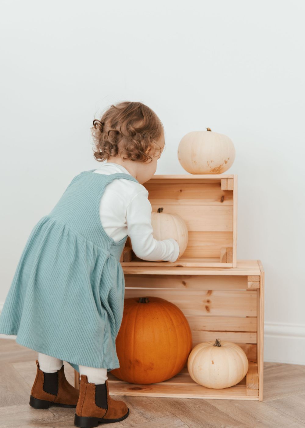 Small child in a teal dress bends down to examine pumpkins arranged on wooden shelves.