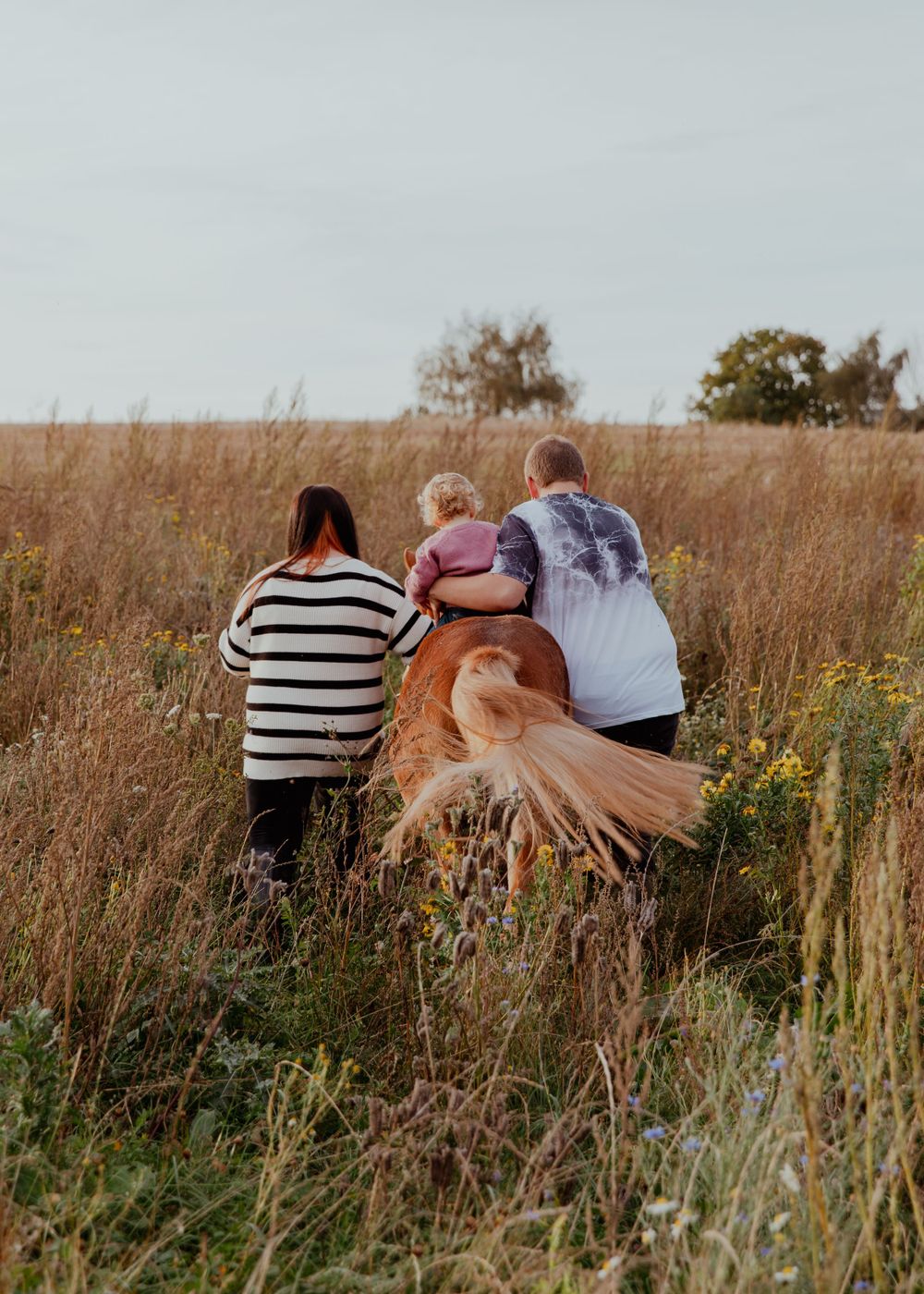 People photographing a sandhill crane in tall prairie grass at sunset.