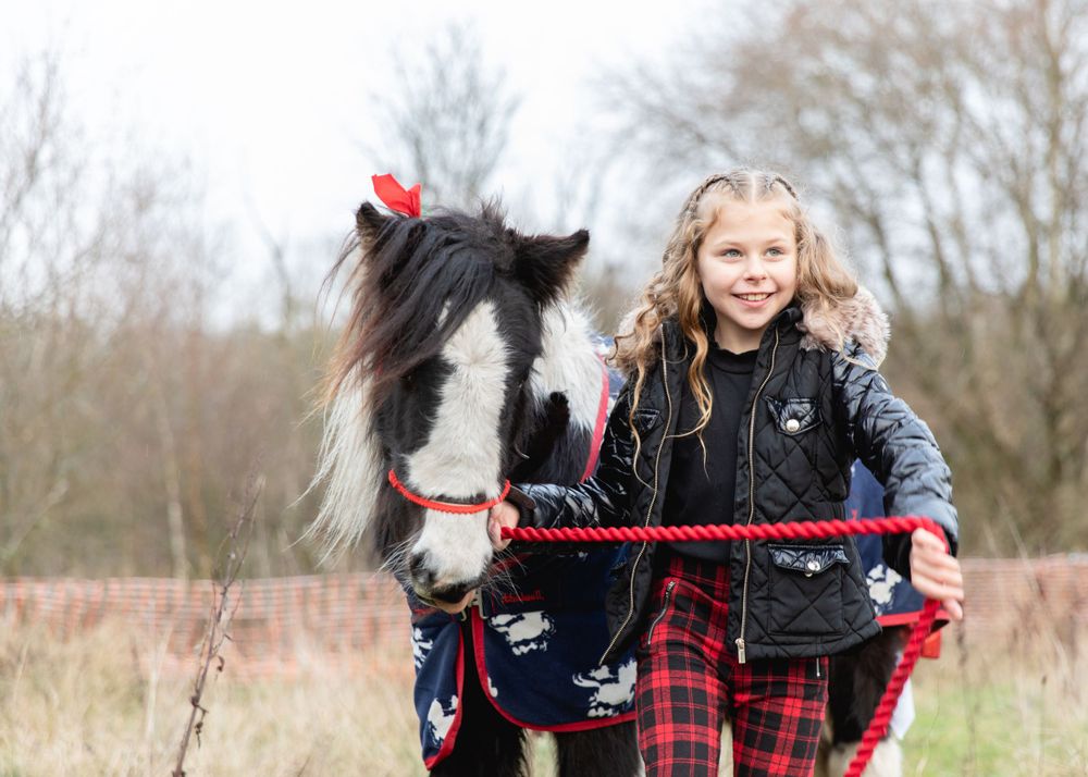 Outdoor photoshoot with a black and white pony in plaid winter clothing.