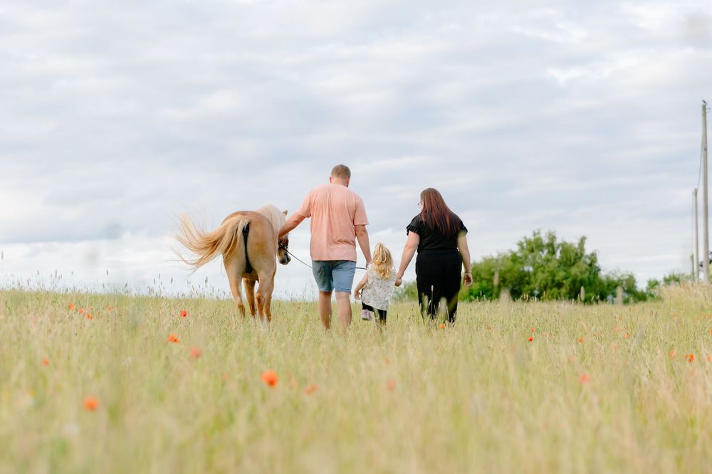 Family walking together with their dog through a sunny wildflower meadow.