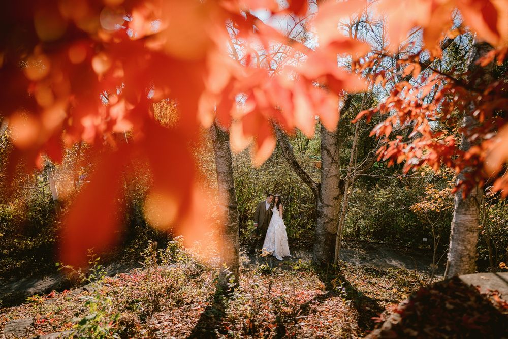 Gorgeous fall wedding red leaves surround bride and groom