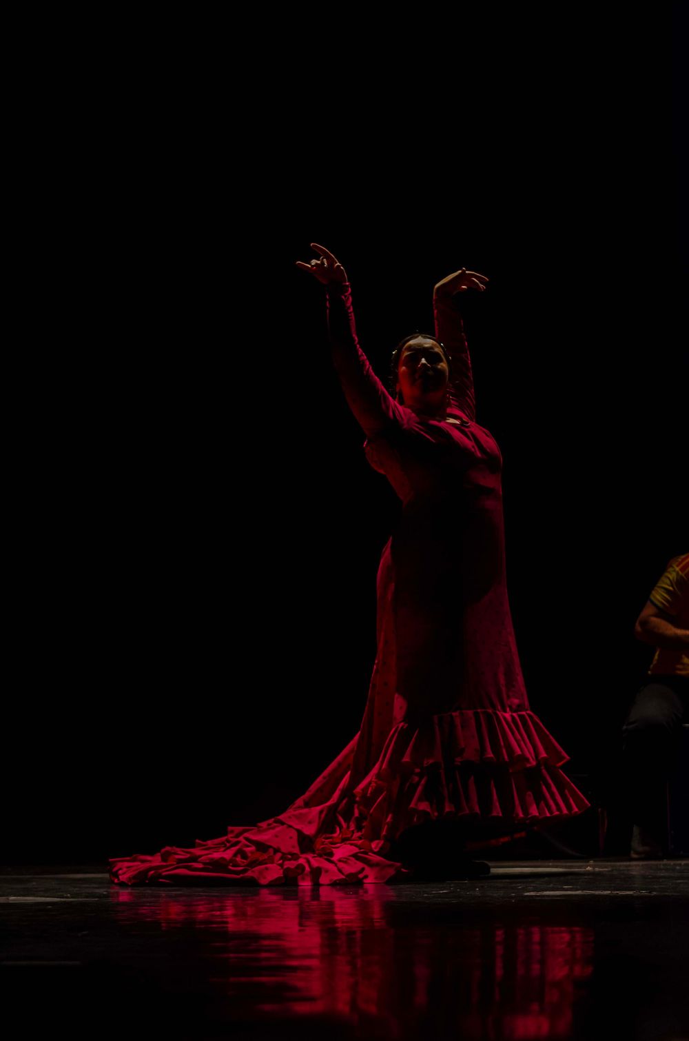 A flamenco dancer in a red dress performs on stage with arms raised, dramatically lit against a dark background.
