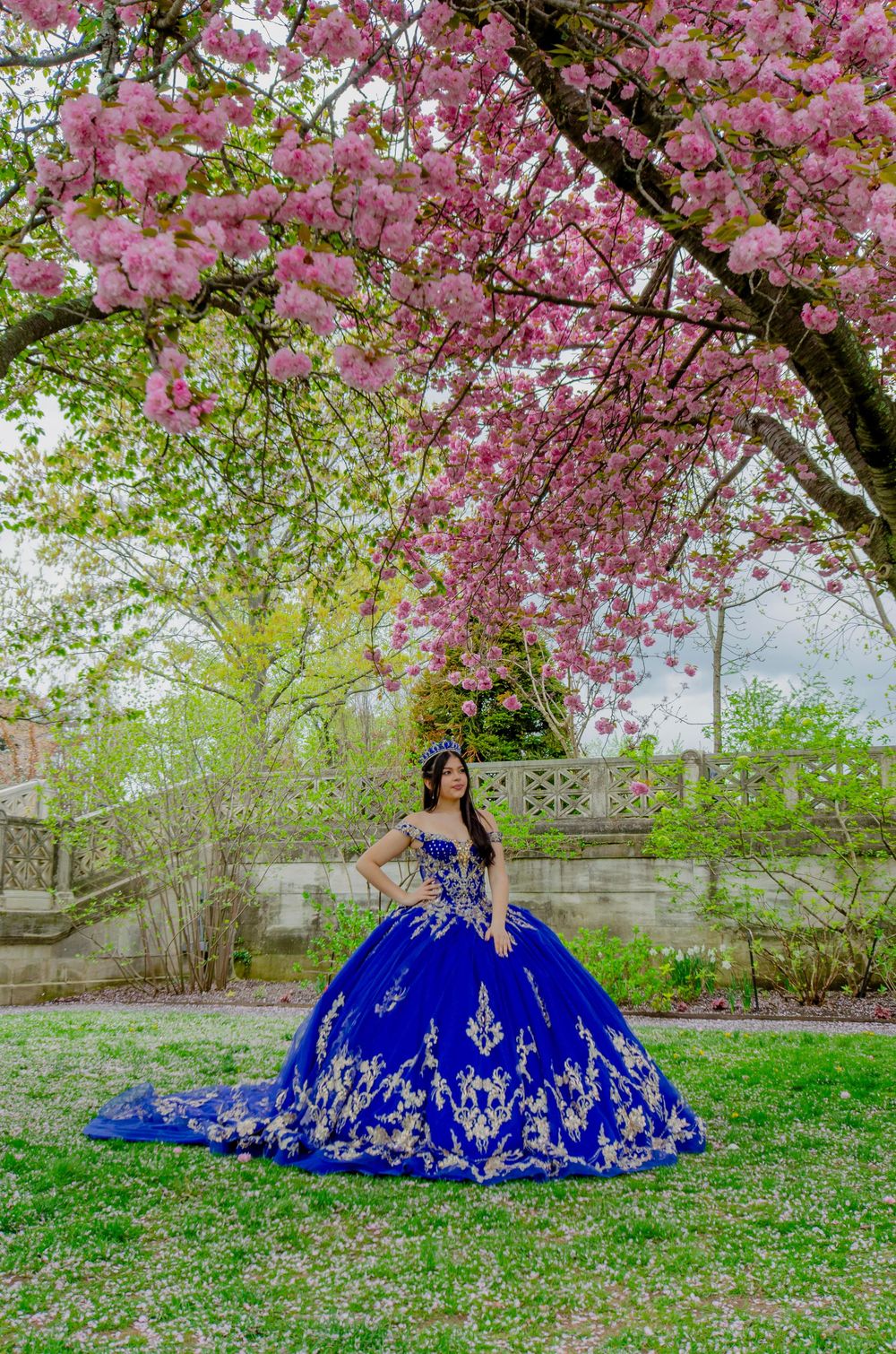 A royal blue ballgown with silver embellishments under blooming pink cherry blossoms in a lush garden setting.