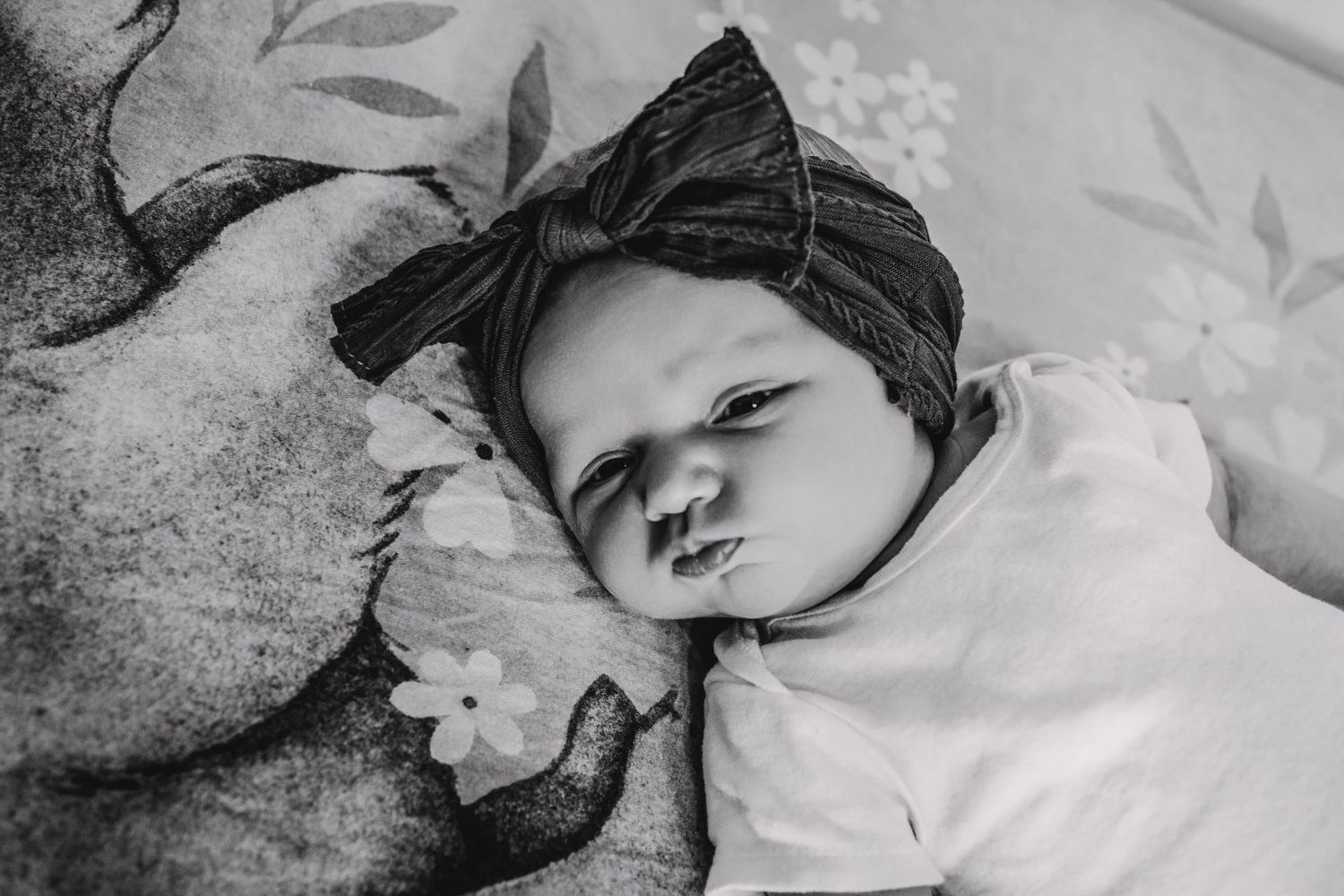 In-home newborn session in Venice, Florida