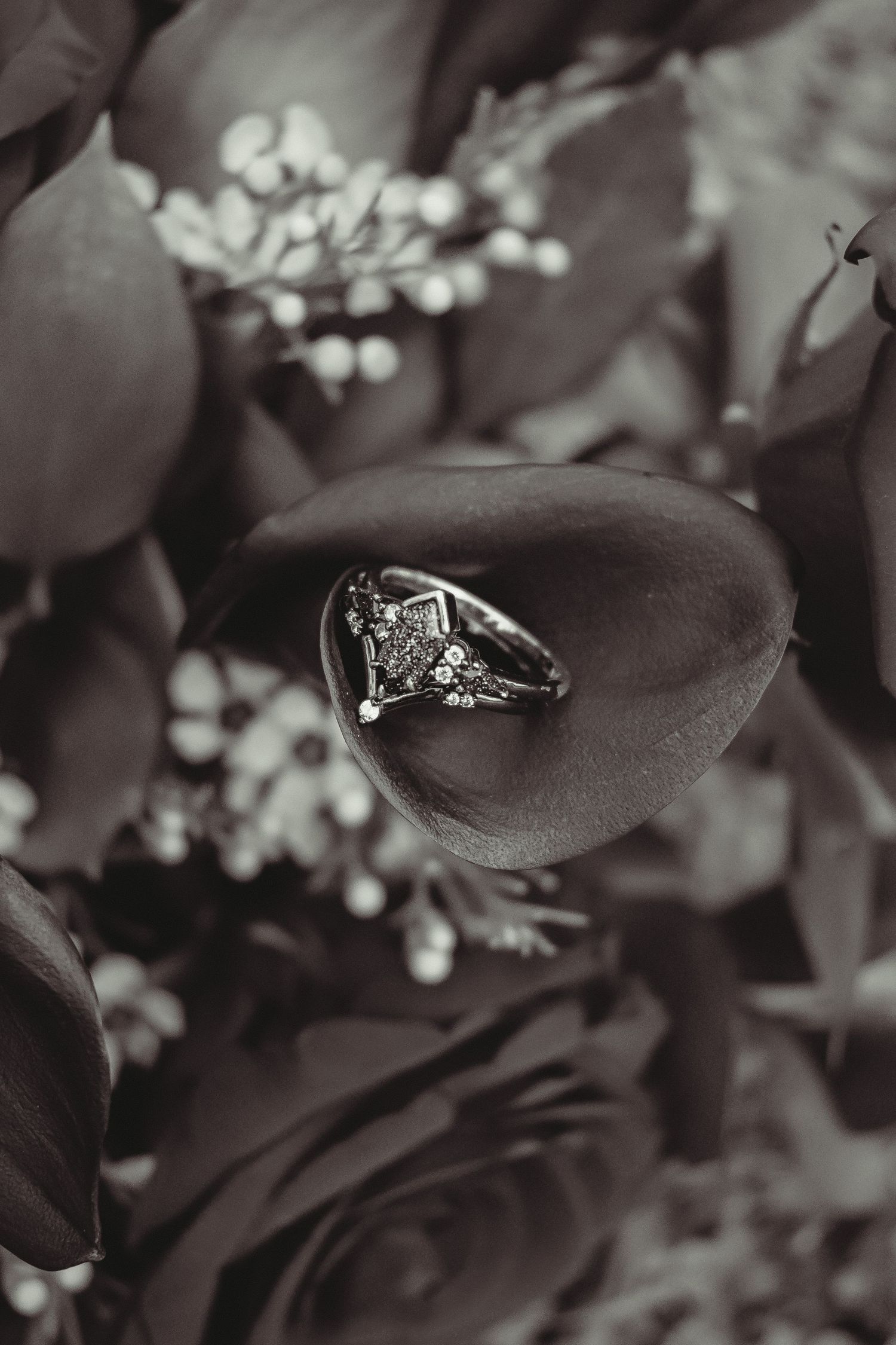 outdoor engagement photoshoot portrait session in Clyde Abilene Texas