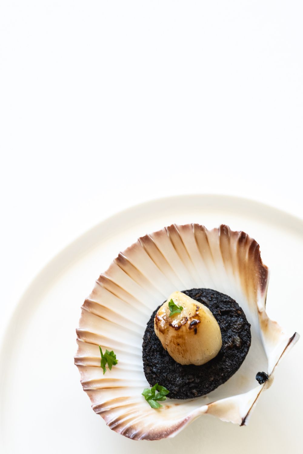 A black scallop appetizer with butter sauce served elegantly in a seashell on a white plate.