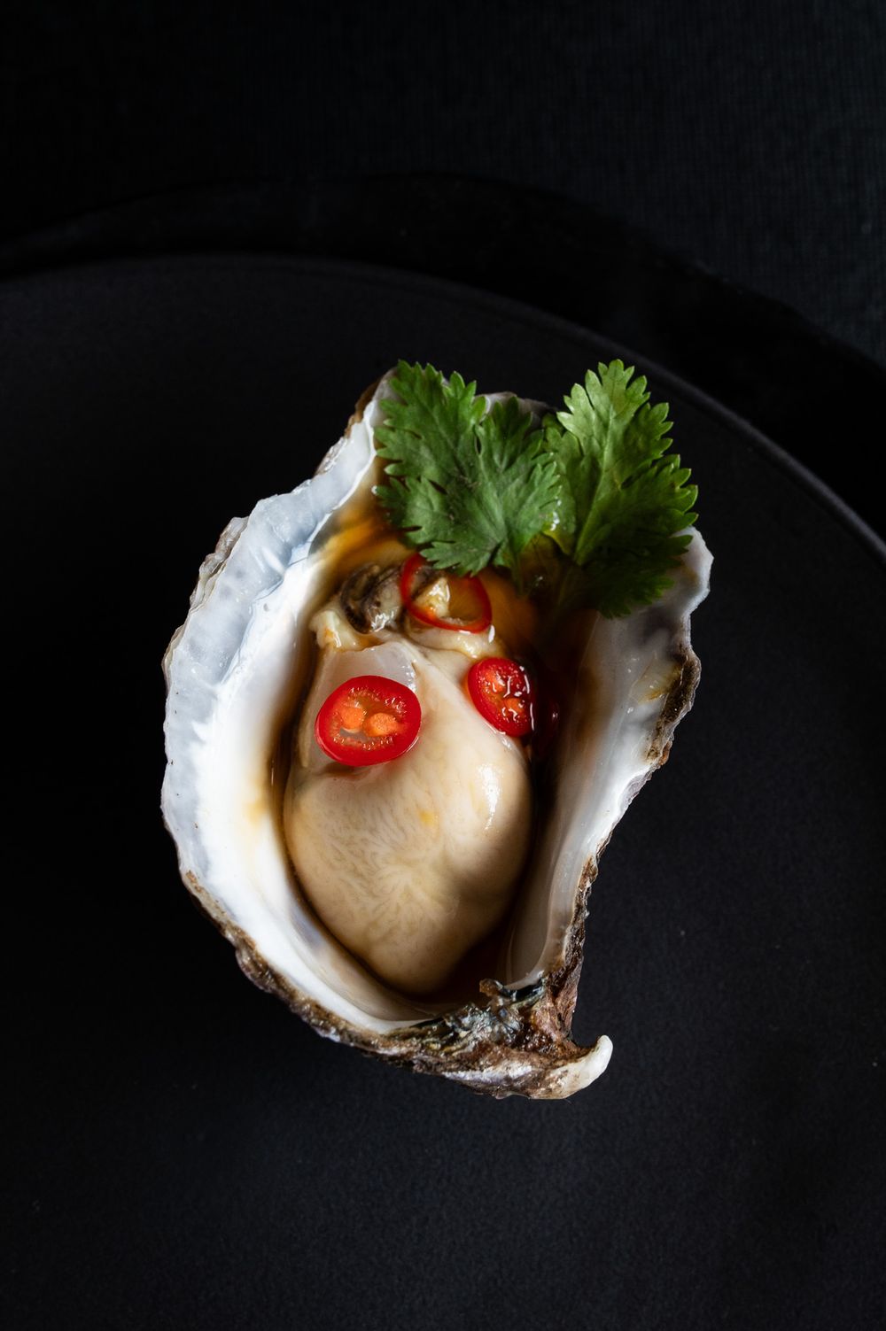 Raw oyster on black plate garnished with cilantro and red chili slices in an artistic presentation.