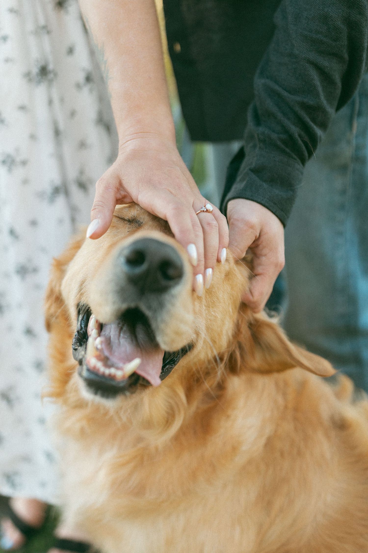 Tofino BC couples LGBTQ+ photo session with dog