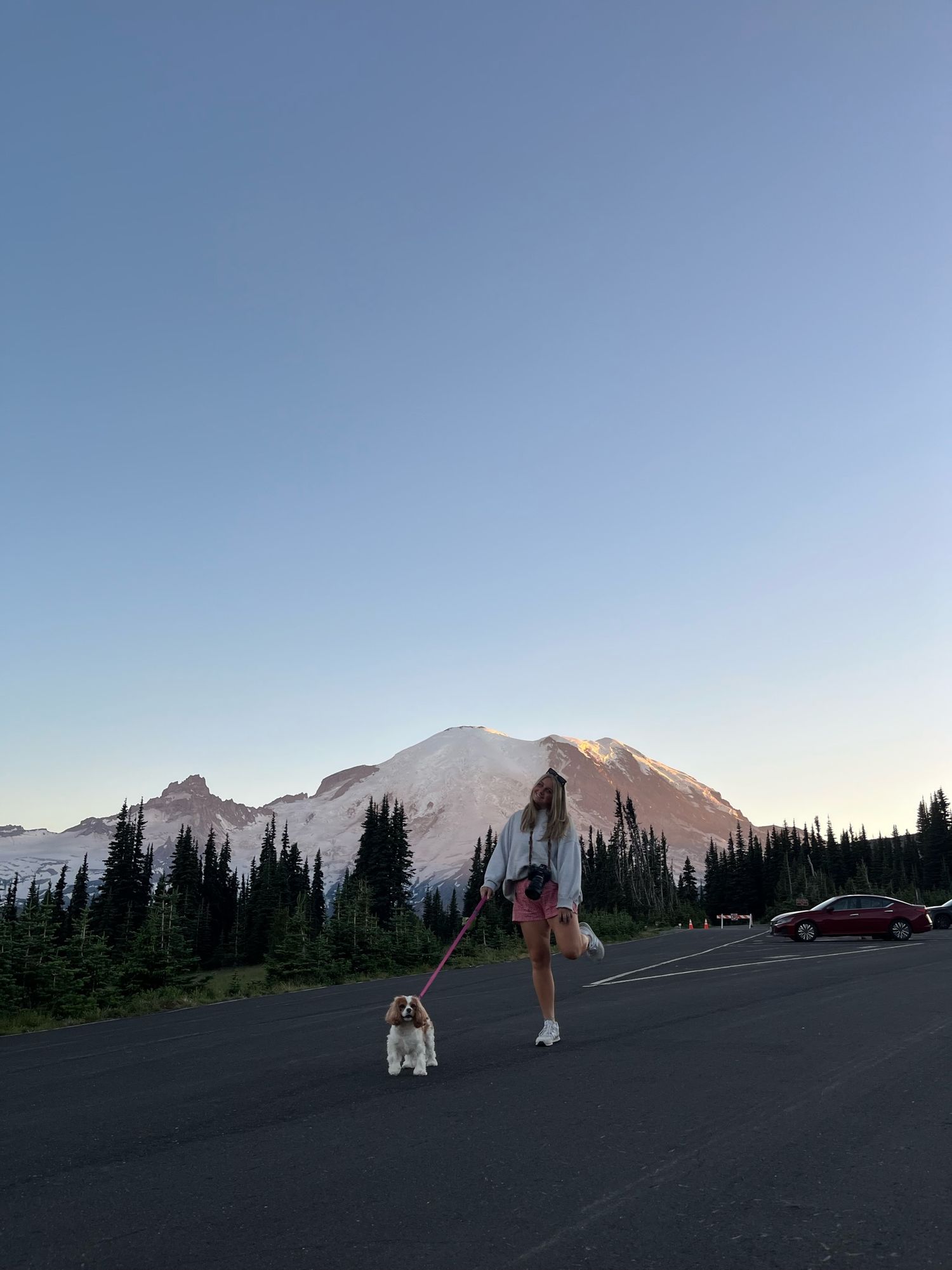 Person walking dog on road with Mount Rainier visible in background at dusk.