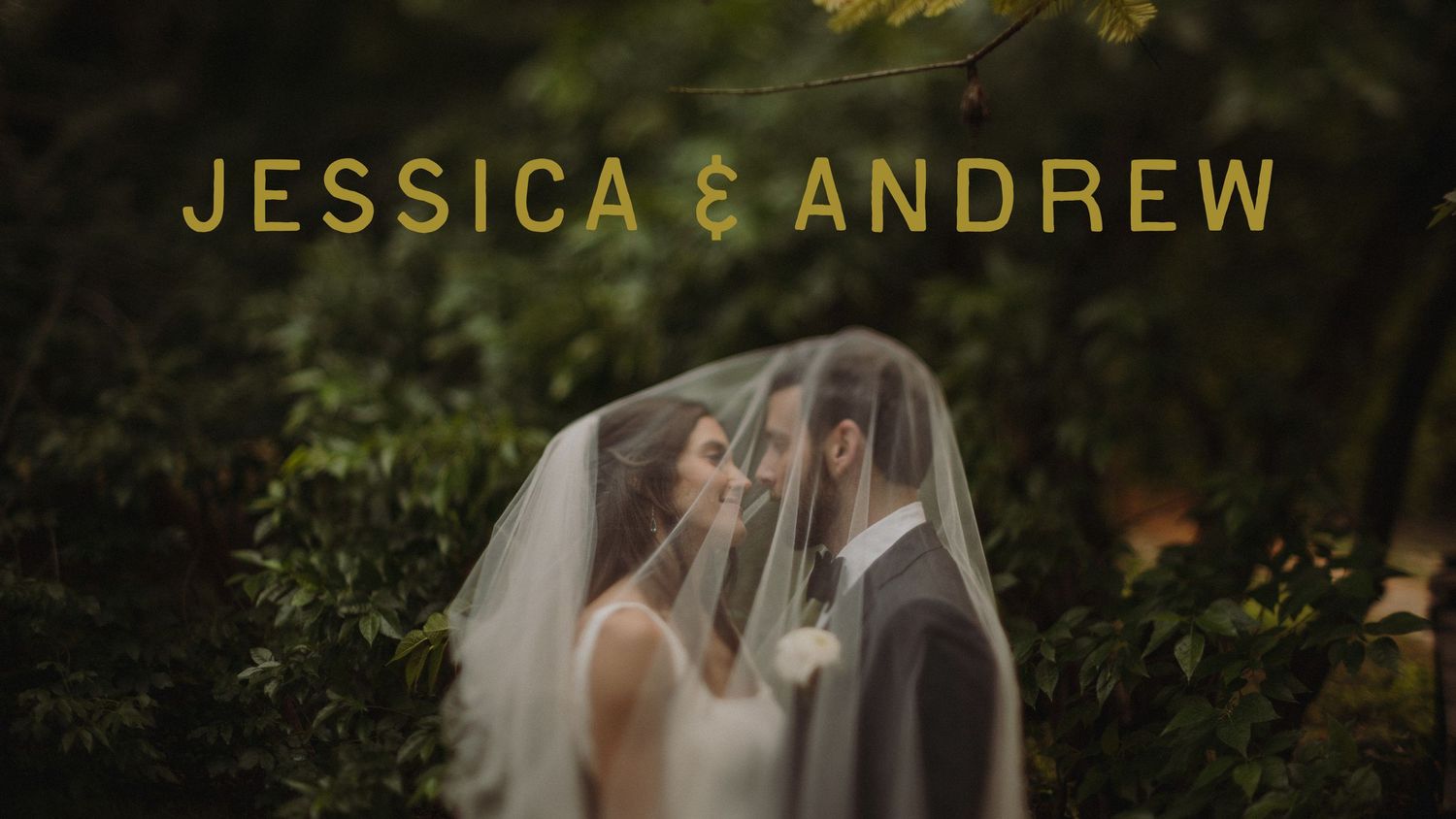 An intimate wedding portrait through a delicate veil in a lush garden setting.