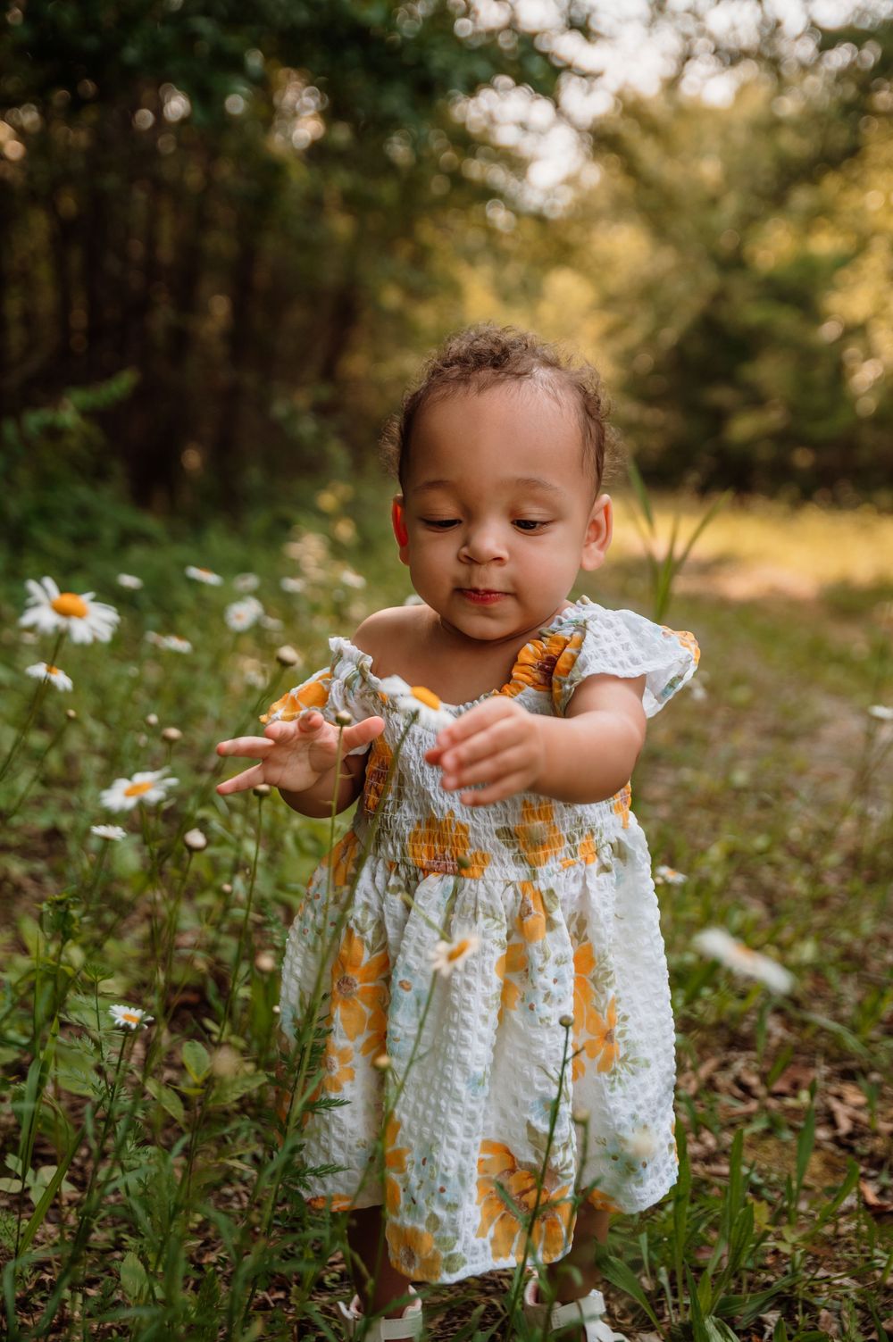 Ashley Dawn Photography St. Louis Family Photographer Cake Smash First Birthday St. Charles MO