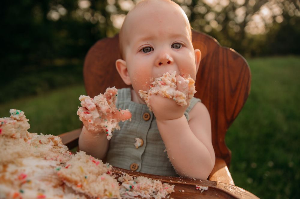 Ashley Dawn Photography St. Louis Family Photographer Cake Smash First Birthday St. Charles MO