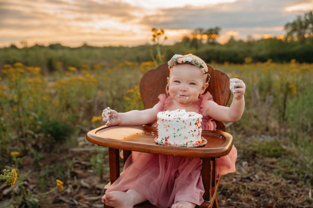 Ashley Dawn Photography St. Louis Family Photographer Cake Smash First Birthday St. Charles MO