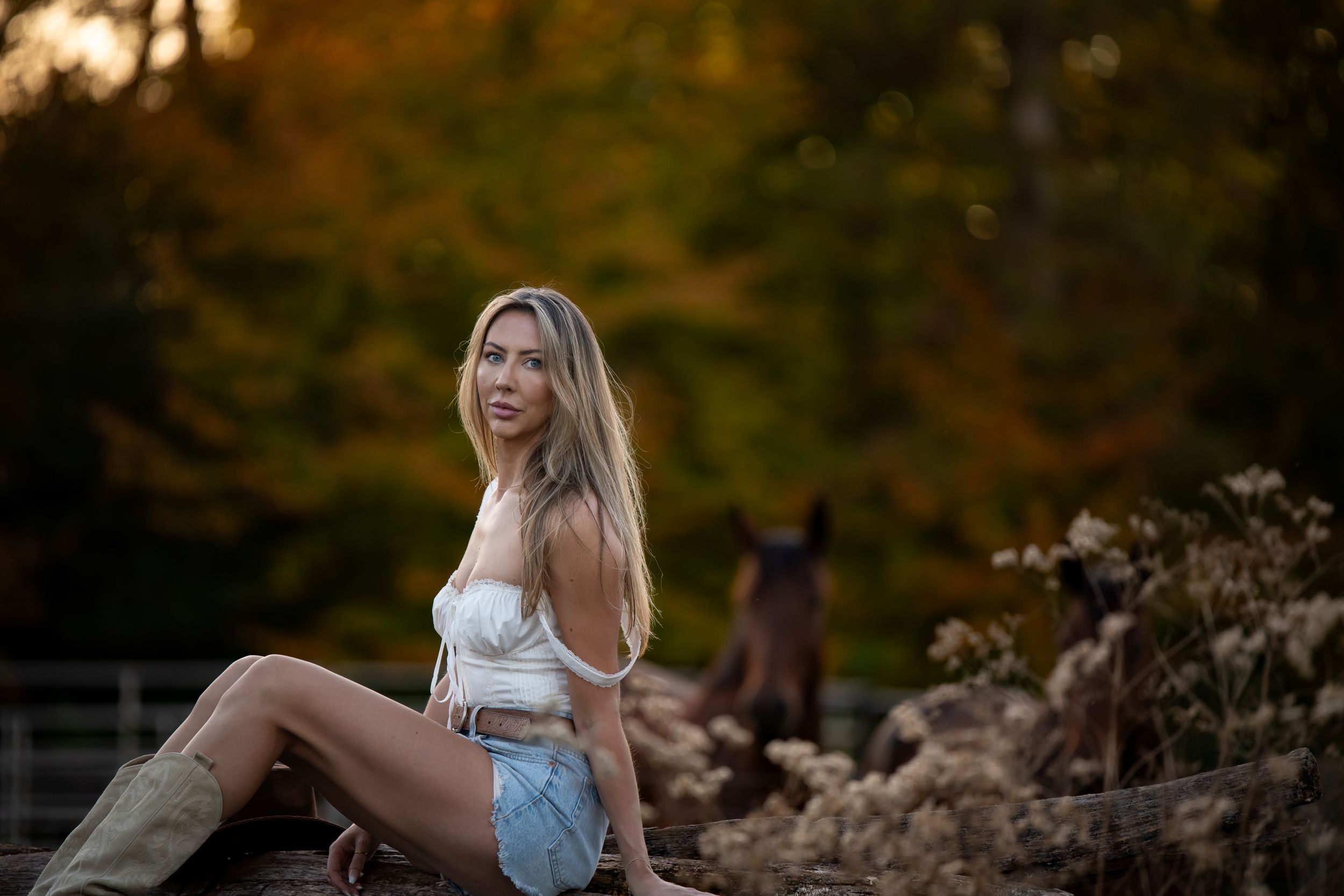 A figure sits on rocks at sunset with autumn foliage and a horse in the background.