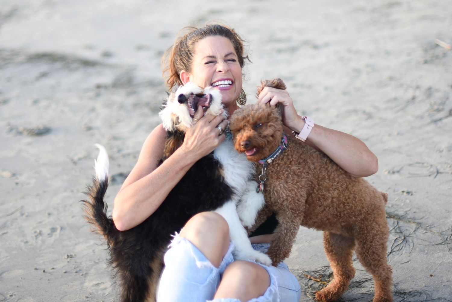 Person sitting on beach enjoying playful moment with two small dogs in casual outdoor setting.