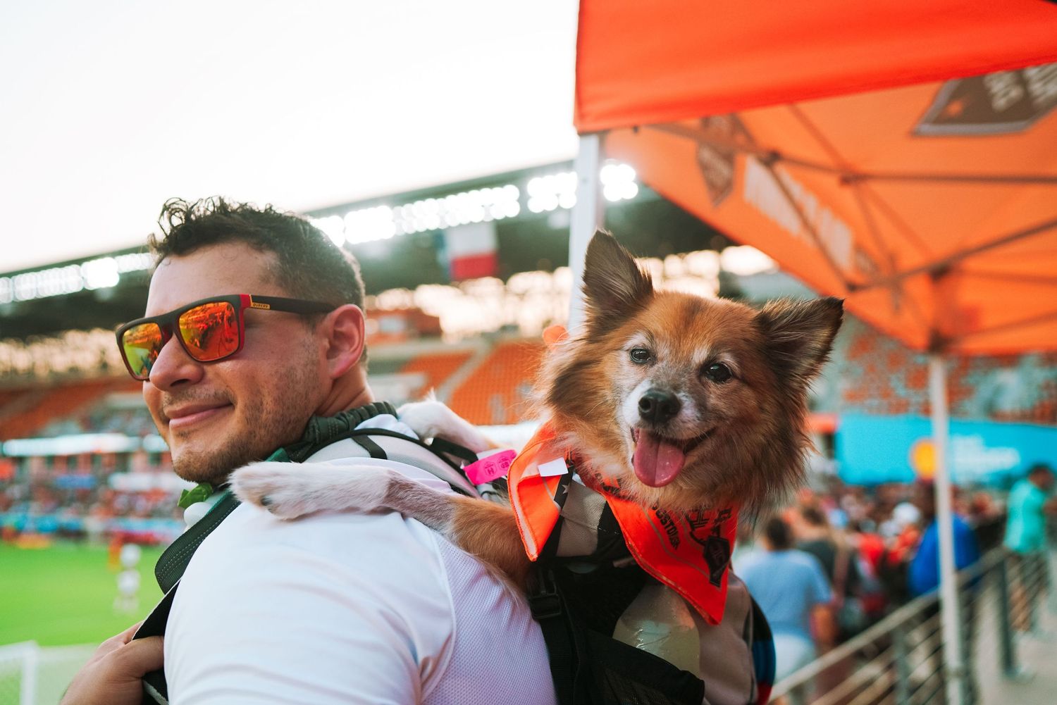 Happy dogs and their owners relaxing under orange canopy tents at an outdoor event.