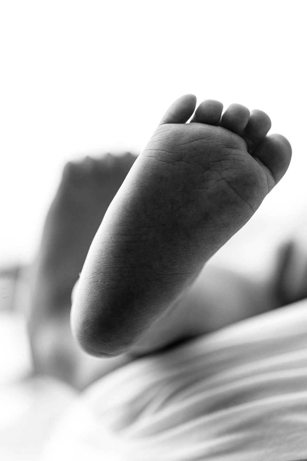 Black and white close-up of tiny newborn baby foot showing delicate details.