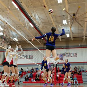 A volleyball player in a blue jersey leaps high to spike the ball over the net during an indoor match.