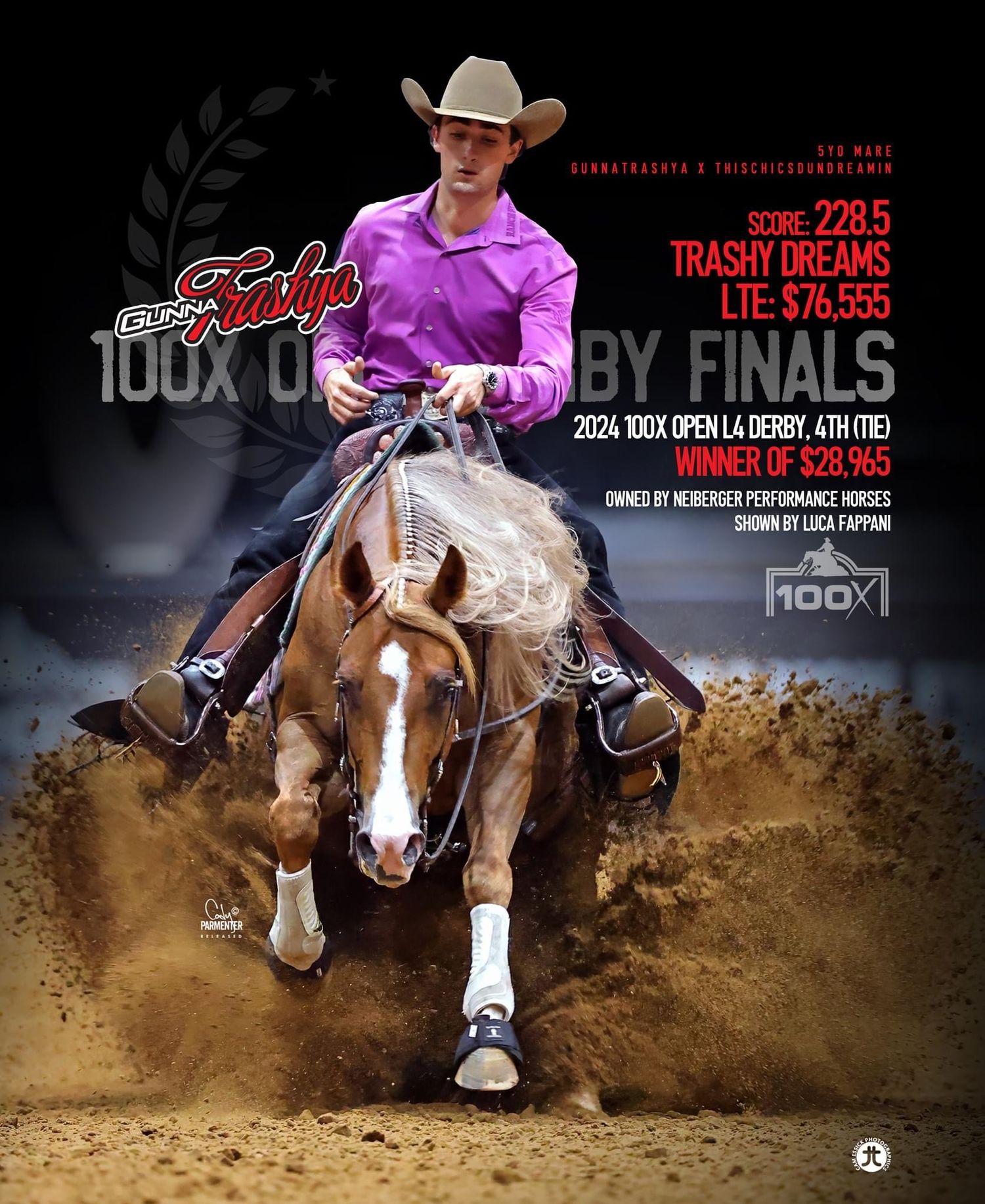 A reining horse performing a sliding stop