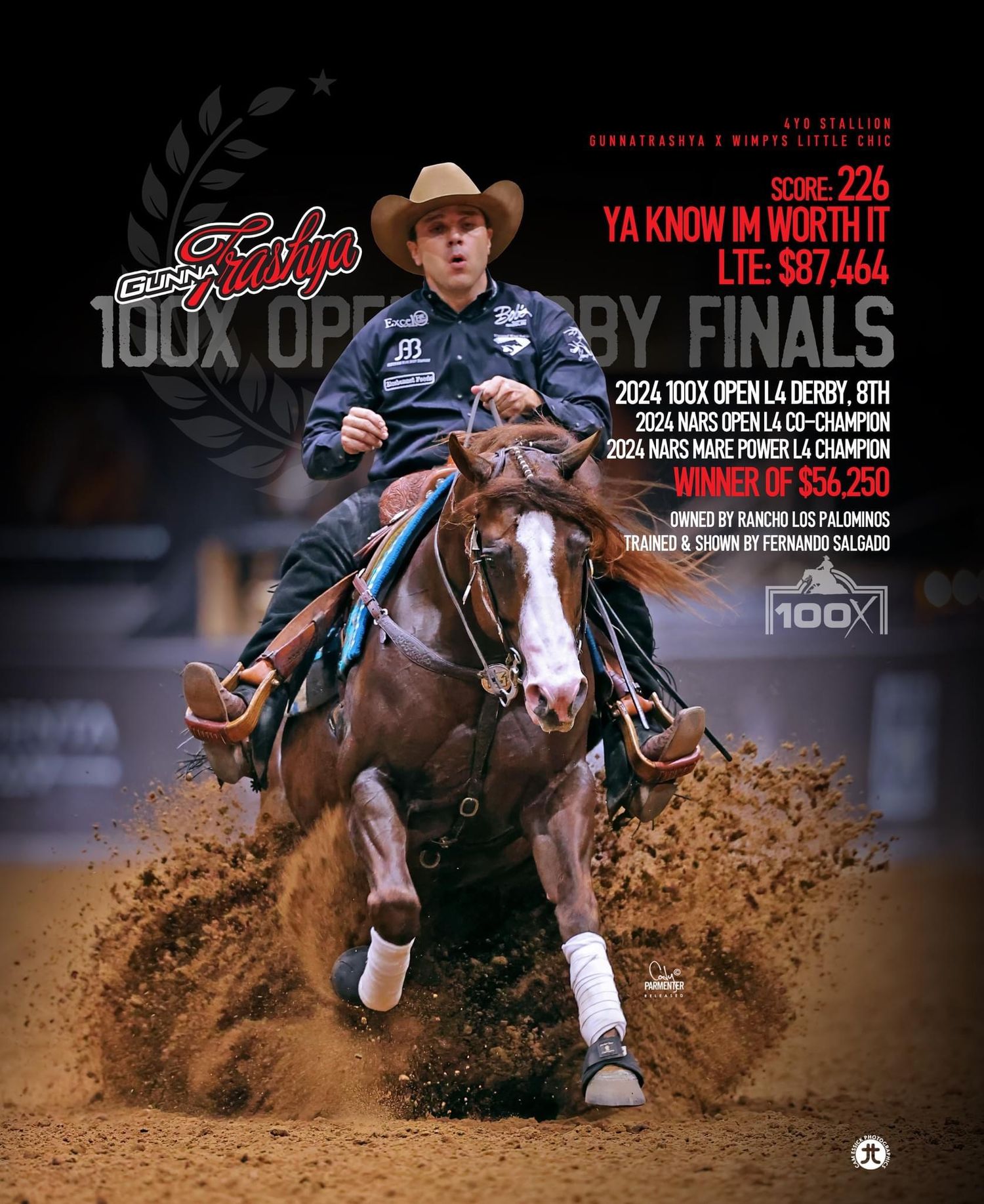 A reining horse performing a sliding stop