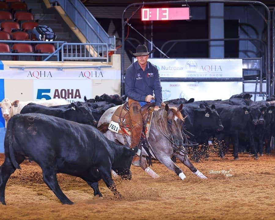 A horse cutting the cow away from the herd