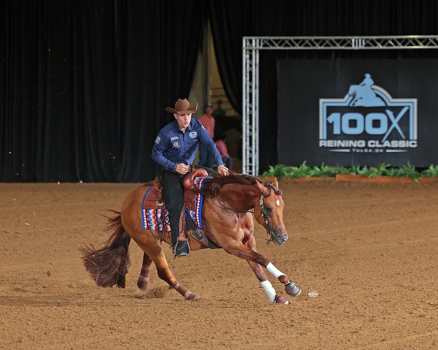 Reining horse performing the large fast circle