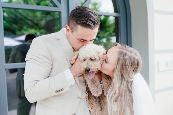 Hochzeitsfotograf Frankfurt, weingut Mussler hochzeit, Toskana Hochzeit , Hochzeitslocation Pfalz, Weingut
