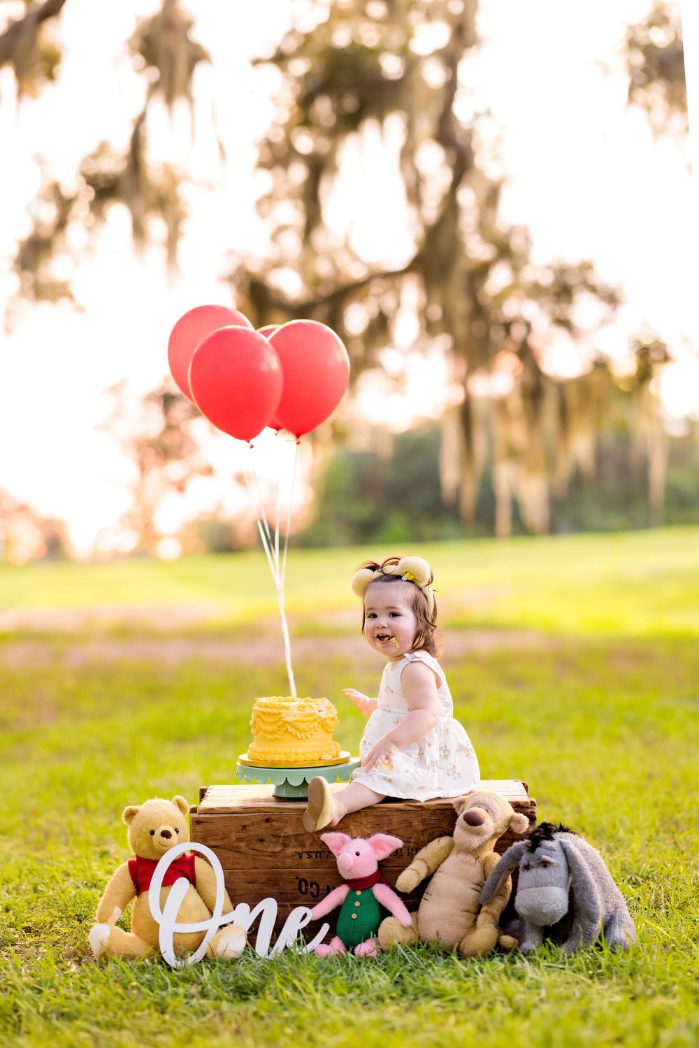 Toddler girl celebrates first birthday outdoors with Winnie the Pooh stuffed animals, yellow cake, and red balloons on a wooden crate.