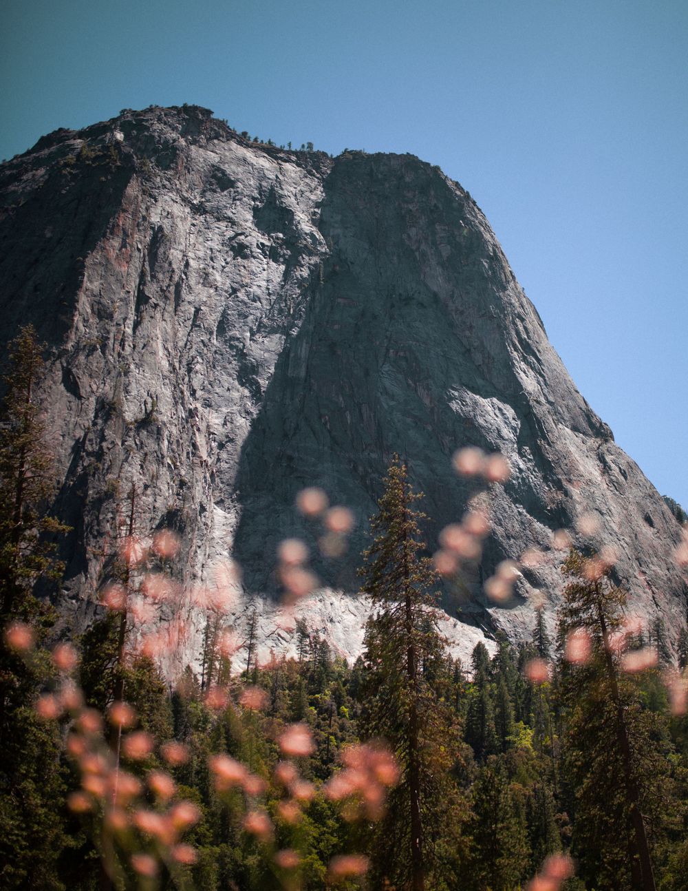 Adventure photo in Yosemite national Park