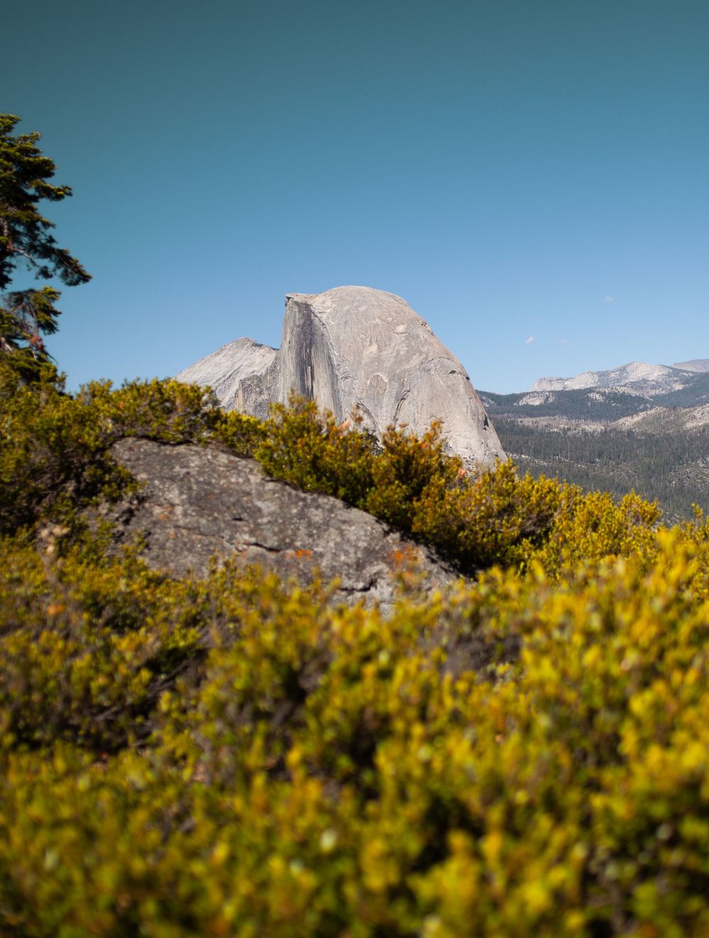 Adventure, travel photo shoot in Yosemite national Park