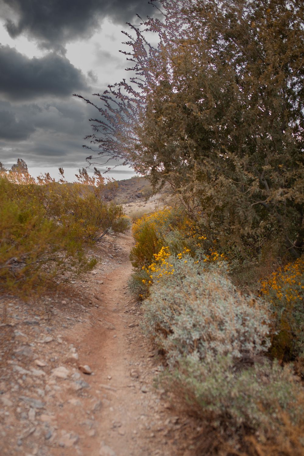 Phoenix, Arizona stormy sunset