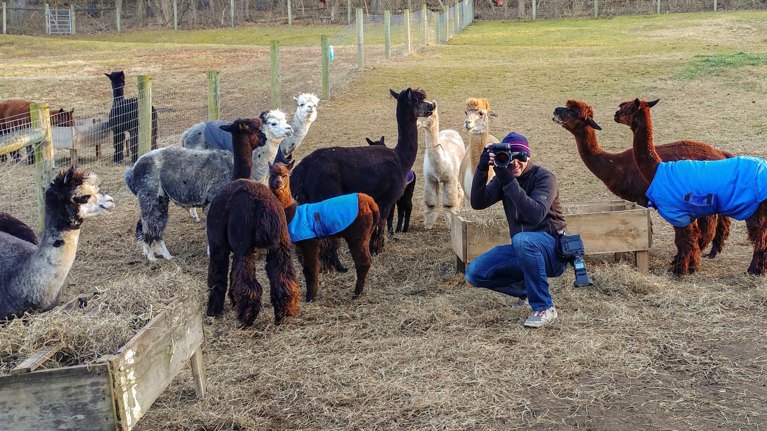 Wedding photographer shooting a wedding in Philadelphia with animals