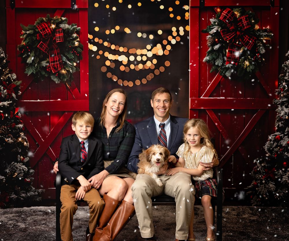 Holiday photo backdrop with decorated Christmas trees, snow, and twinkling lights.