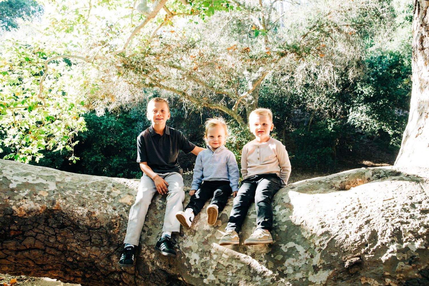 Family members sitting together on large rocks in a wooded outdoor setting.