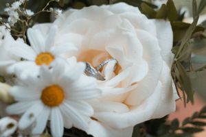 Close-up macro photography of white roses and daisies with delicate petals.