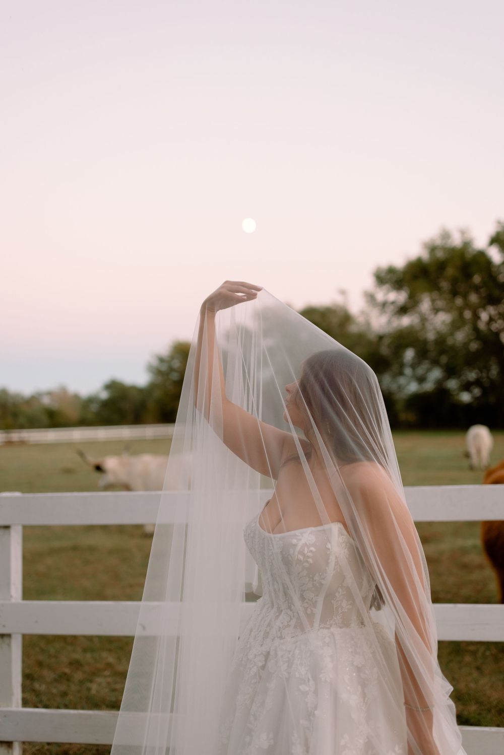 A delicate white wedding veil blowing in the breeze against a pastoral backdrop with white fencing.