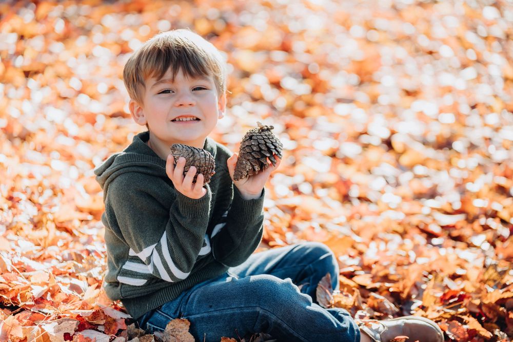 Young boy sitting in autumn leaves holding pine cones, smiling outdoors in fall season.