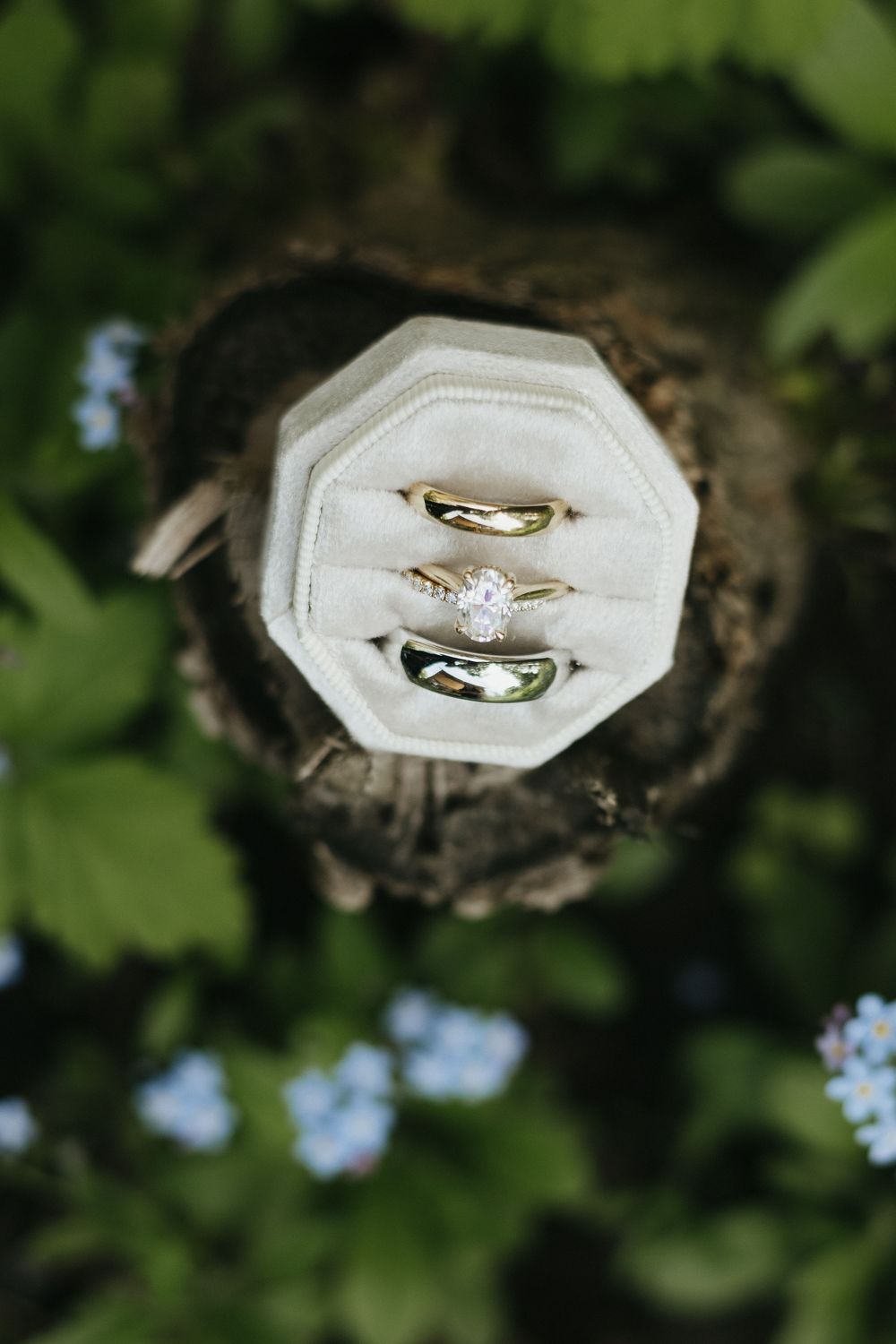 Two gold wedding rings nestled in a white cushion surrounded by green foliage and blue flowers in the background. St Jacobs Ontario