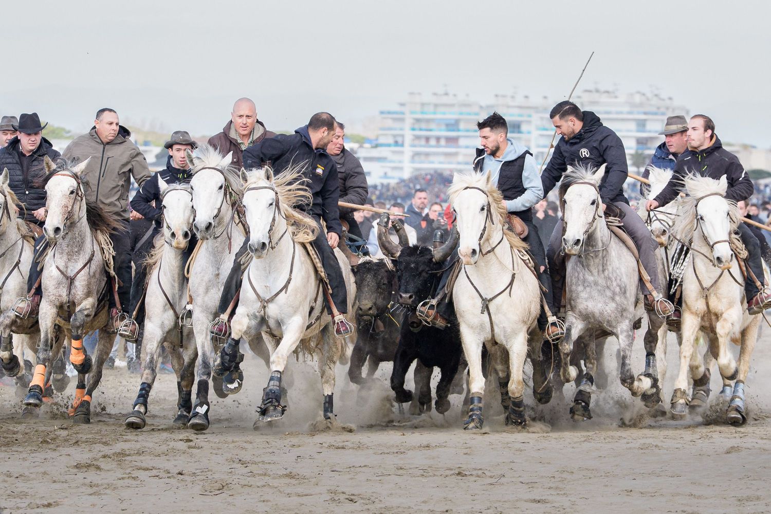 Series of action images showing tug-of-war competitors pulling a heavy rope in a traditional competition event.