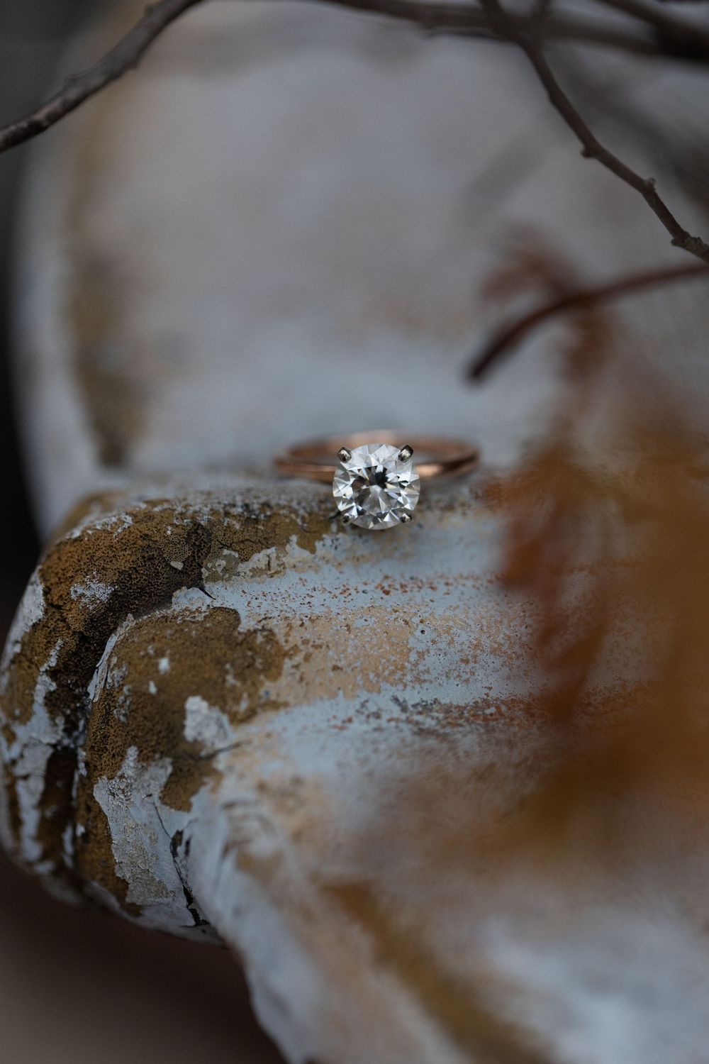 A sparkling diamond engagement ring rests on a silvery branch in soft focus.