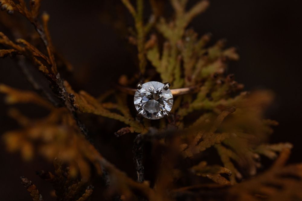 Diamond engagement ring nestled in golden autumn foliage.