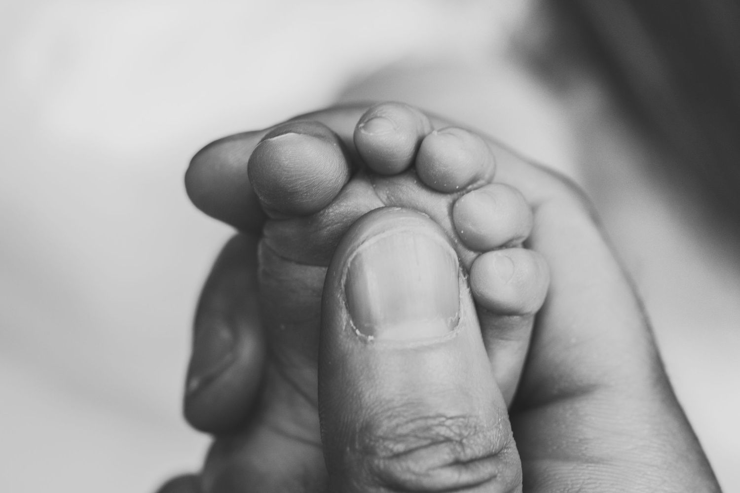 A close-up black and white image shows a tiny baby foot held in an adult hand.