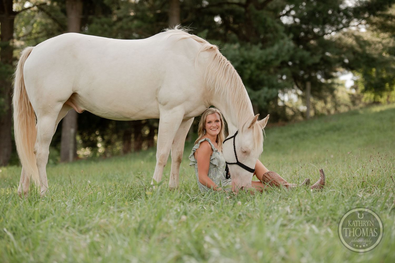 A white horse stands quietly in a grassy field during golden hour.