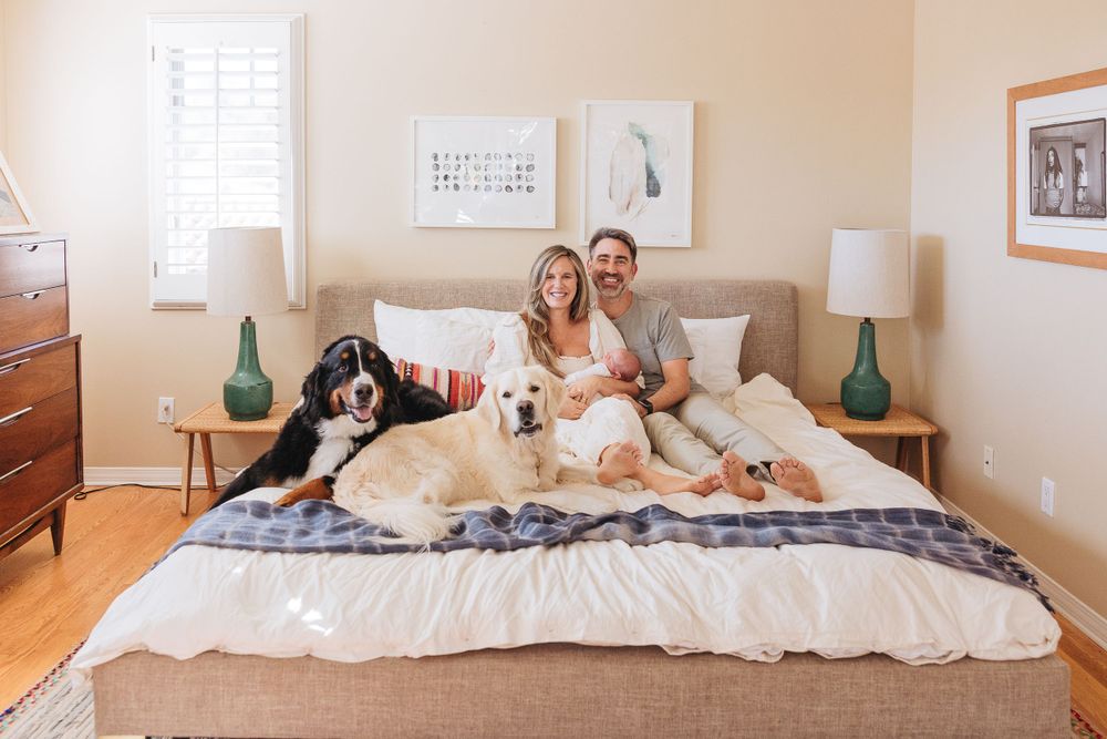 Couple lounges on bed with two dogs in bright modern bedroom with green lamps.