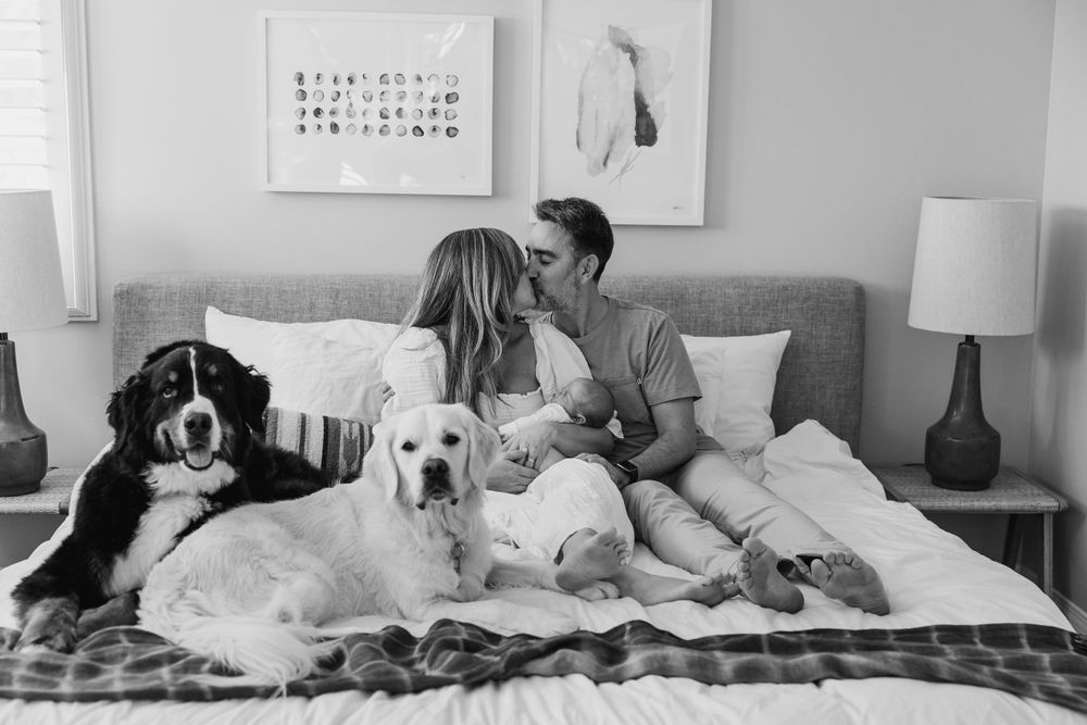 Black and white portrait of couple on bed with two dogs and minimal wall art.