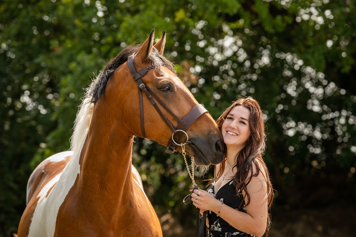 A chestnut horse with white markings poses with its handler in front of green foliage on a sunny day.