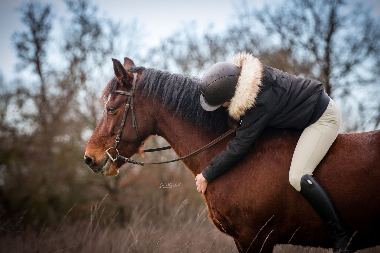 Cheval et sa cavalière