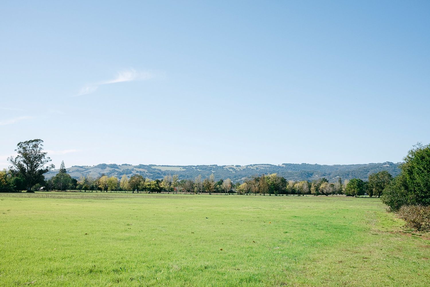 Sonoma Hills